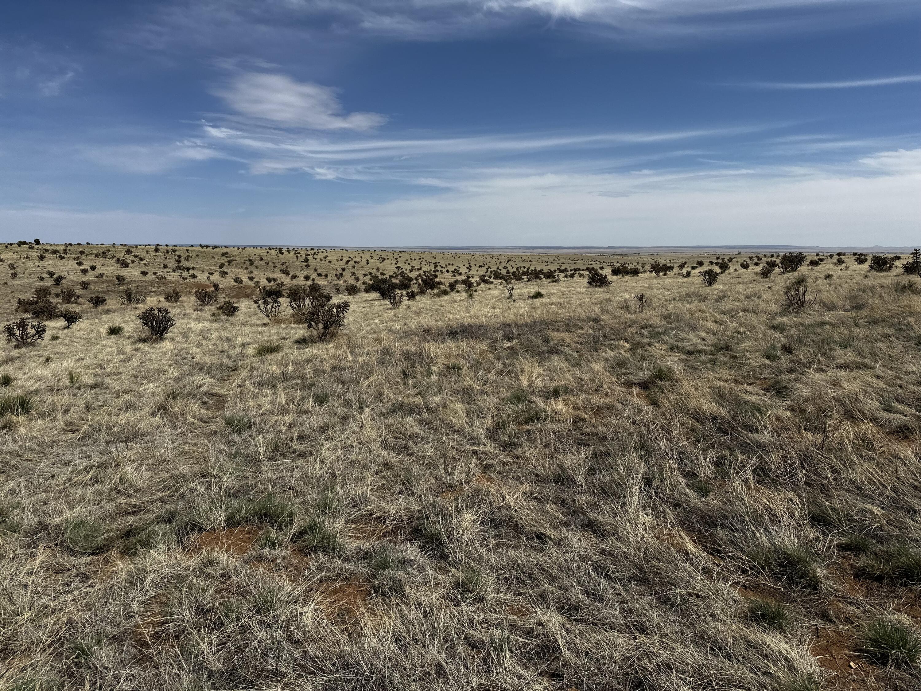 Homes for sale in Stanley, NM | A 1 Camino Sol Y Paz, Stanley, NM 87056 | MLS# 1081631