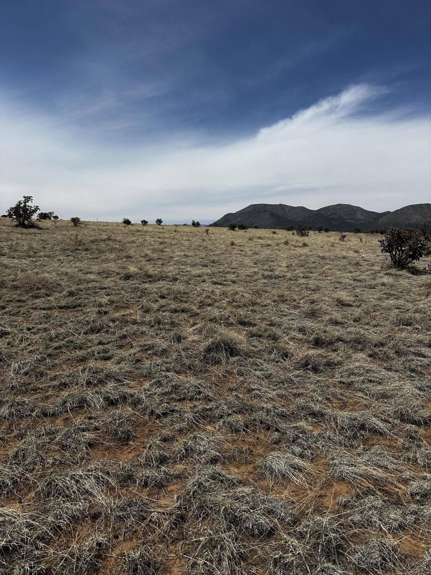 Homes for sale in Stanley, NM | A 4 Camino Sol Y Paz, Stanley, NM 87056 | MLS# 1081633