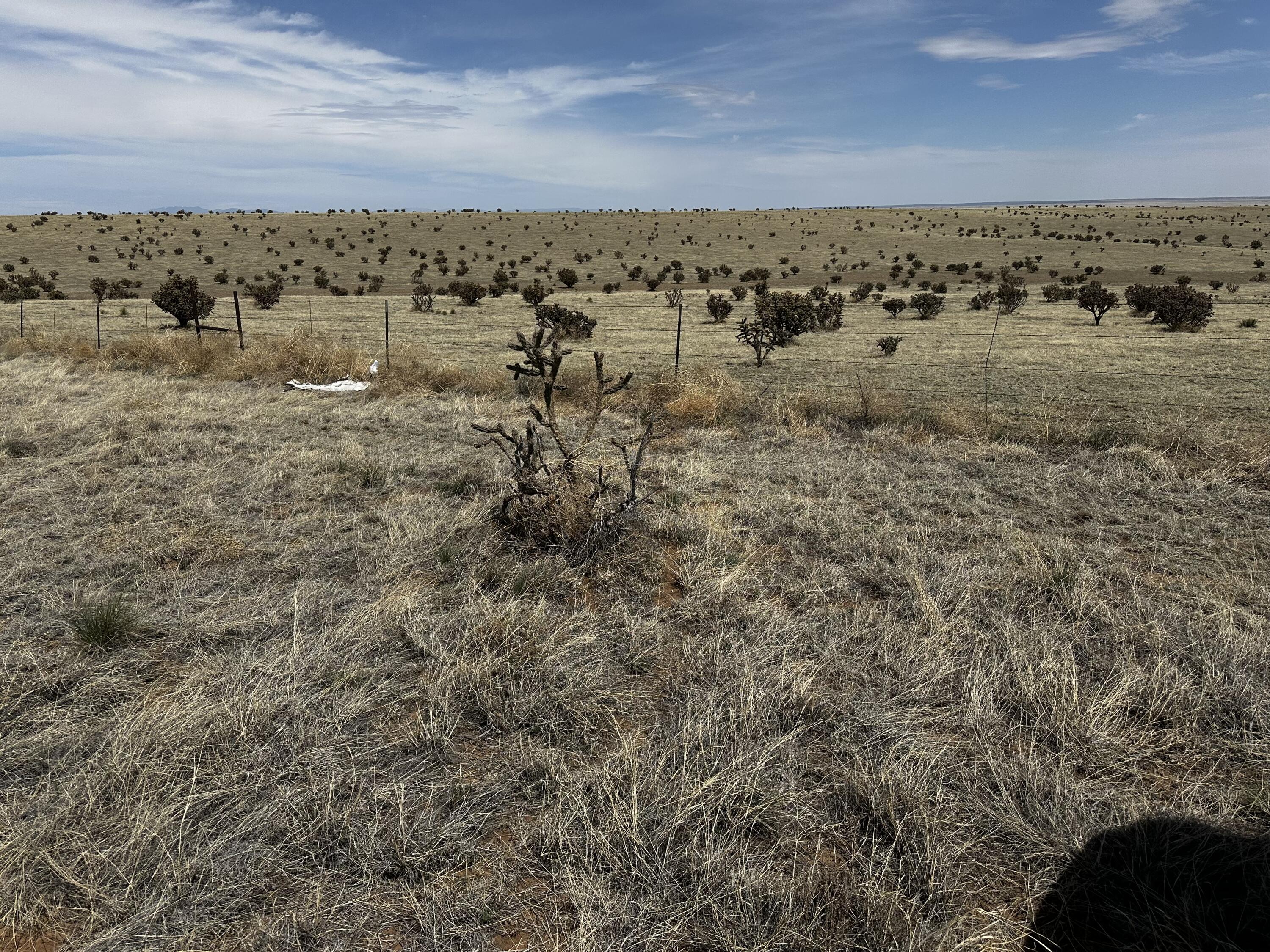 Homes for sale in Stanley, NM | A-4 Camino Sol Y Paz, Stanley, NM 87056 | MLS# 1081633