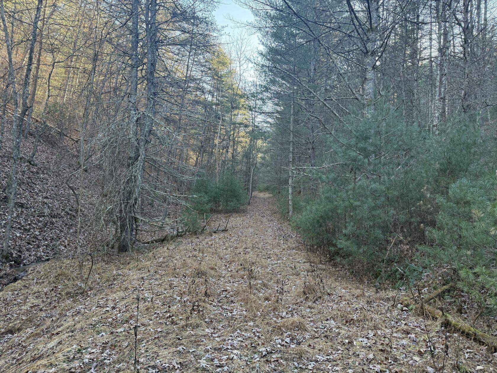 21 acres BUCK HILL LN exterior