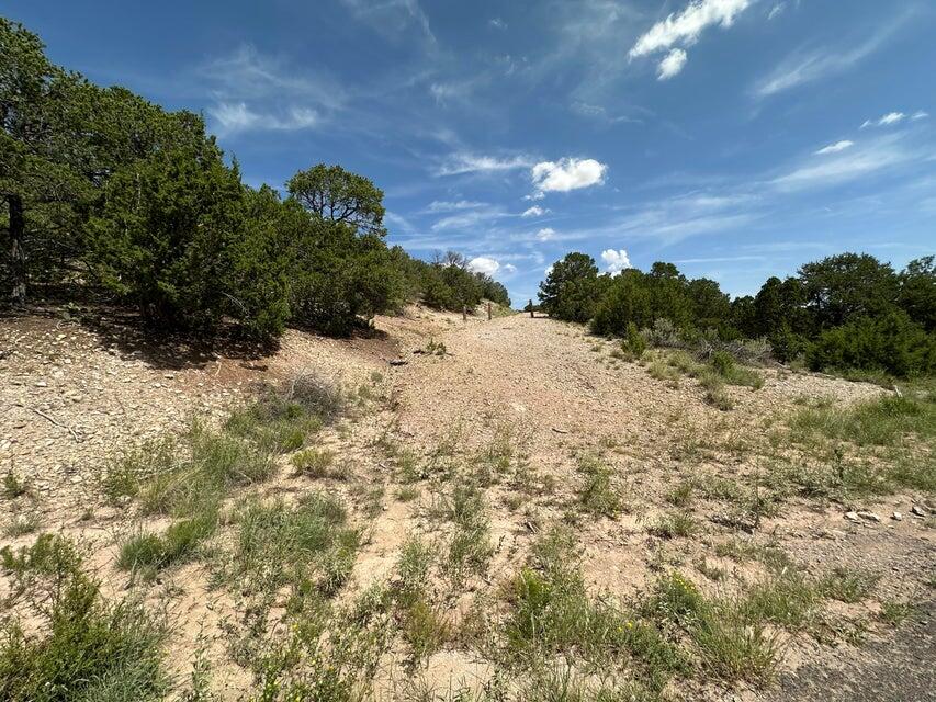 Homes for sale in Tijeras, NM | 52 Sandia Mountain Ranch Dr, Tijeras, NM 87059 | MLS# 1081673