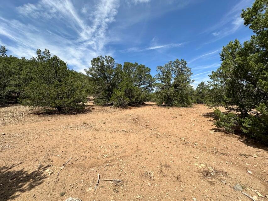 Homes for sale in Tijeras, NM | 52 Sandia Mountain Ranch Dr, Tijeras, NM 87059 | MLS# 1081673