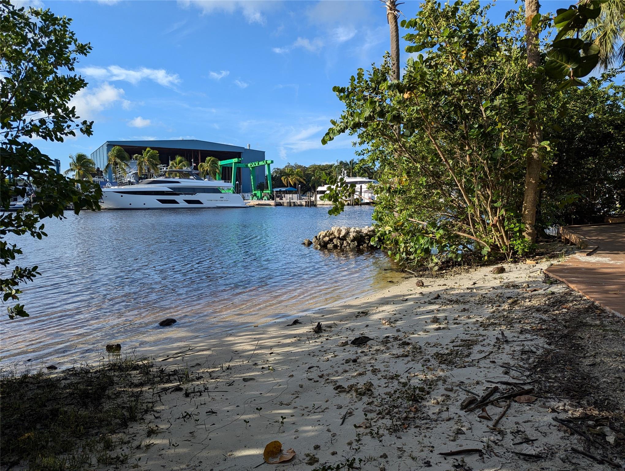 Natural Shoreline along the river