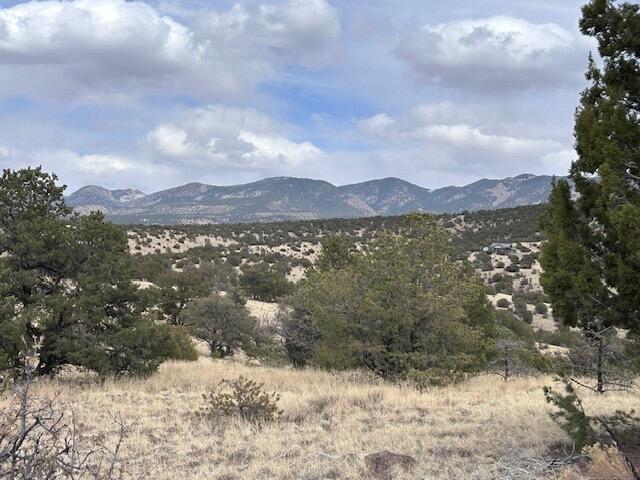 Homes for sale in Magdalena, NM | Lot 5 Magdalena Mountain Ranch, Magdalena, NM 87825 | MLS# 1081883