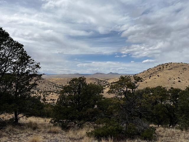 Homes for sale in Magdalena, NM | Lot 5 Magdalena Mountain Ranch, Magdalena, NM 87825 | MLS# 1081883