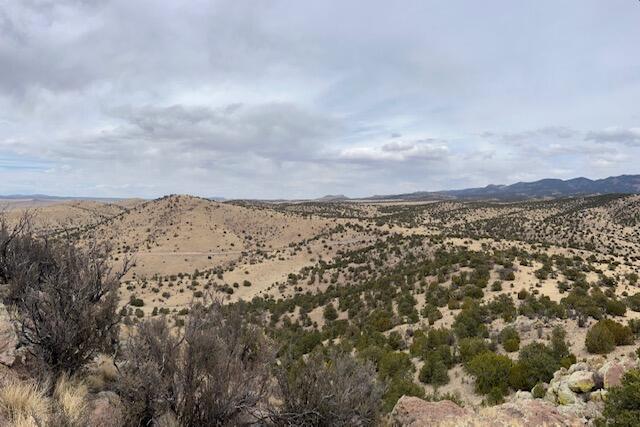 Homes for sale in Magdalena, NM | Lot 5 Magdalena Mountain Ranch, Magdalena, NM 87825 | MLS# 1081883