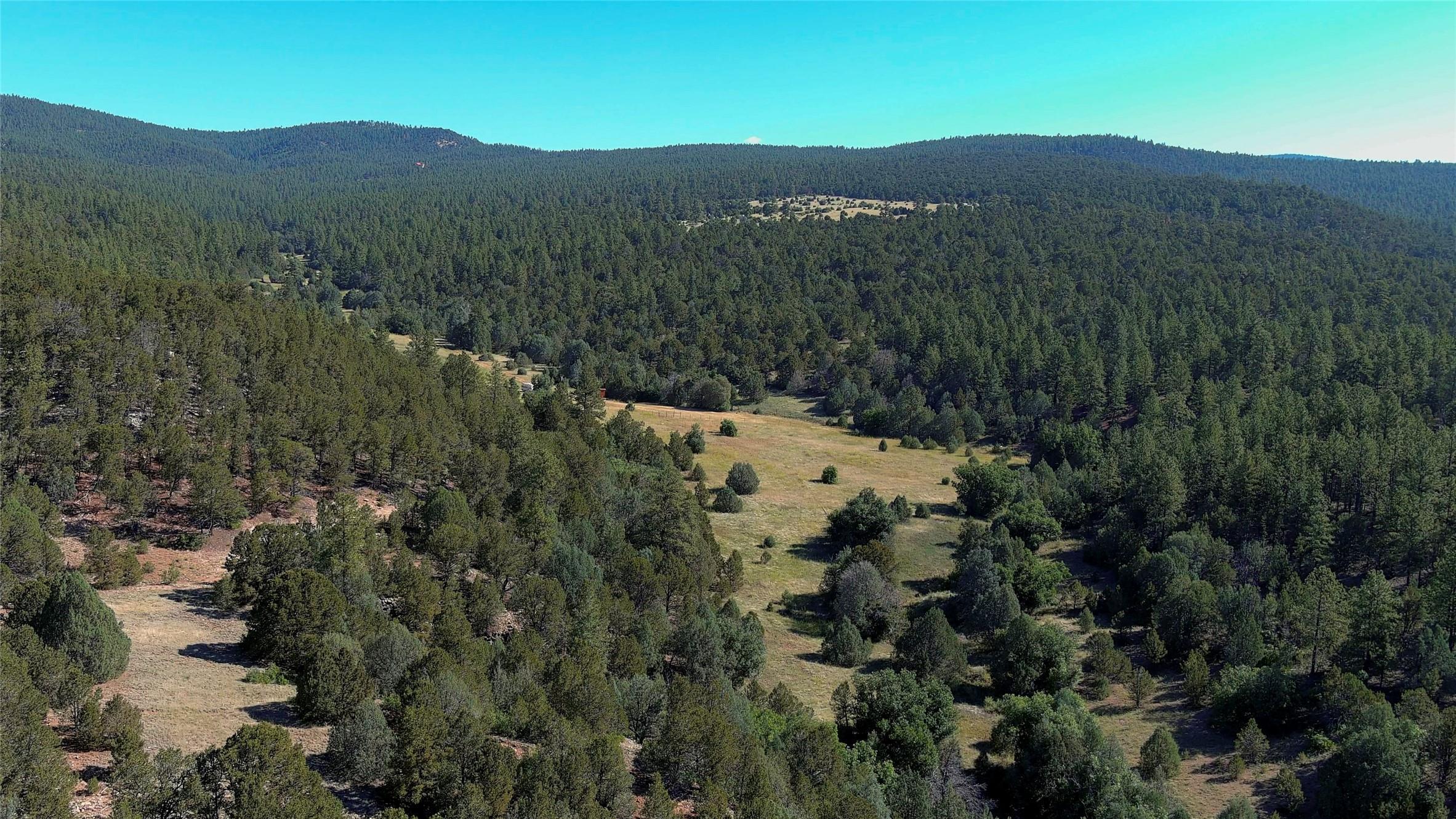 Homes for sale in Pecos, NM | 17 Wild Wings Cir, Pecos, NM 87552 | MLS# 1081888