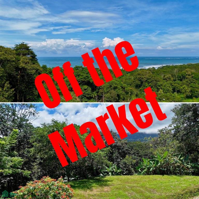 0 bed Land For Sale in Osa, Puntarenas - 1