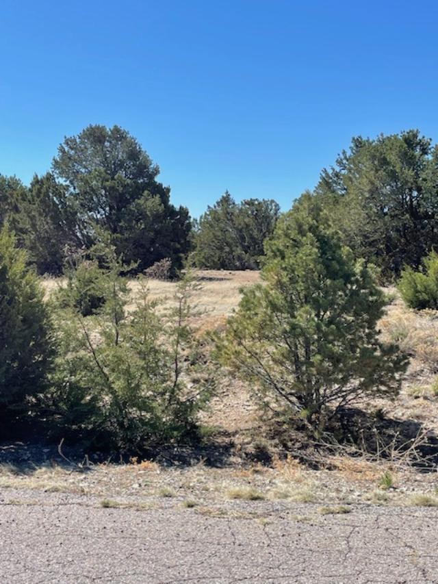 Homes for sale in Tijeras, NM | 6 Falcon Ct, Tijeras, NM 87059 | MLS# 1082006