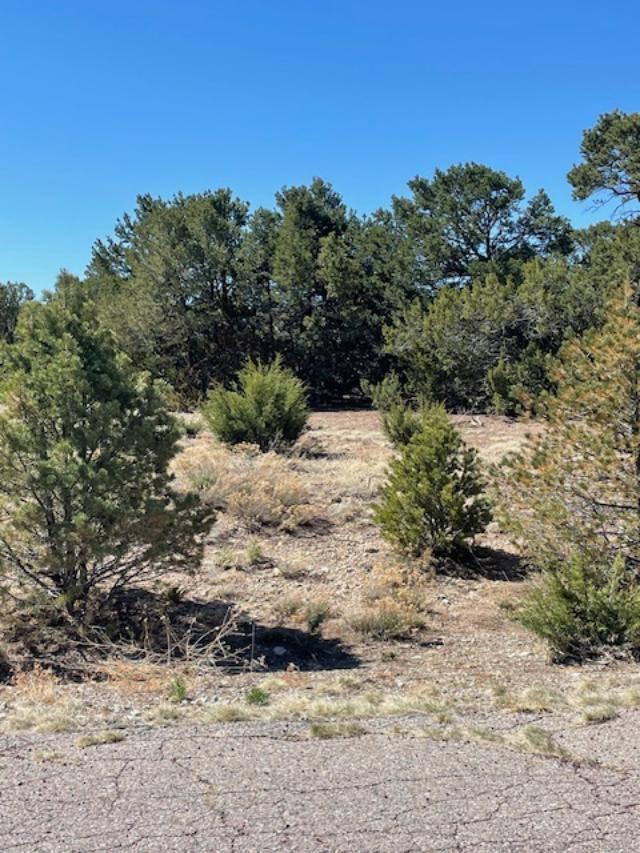 Homes for sale in Tijeras, NM | 6 Falcon Ct, Tijeras, NM 87059 | MLS# 1082006