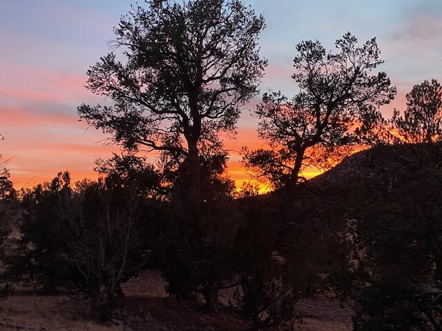 Homes for sale in Datil, NM | 233 Turquoise Trl, Datil, NM 87821 | MLS# 1082070