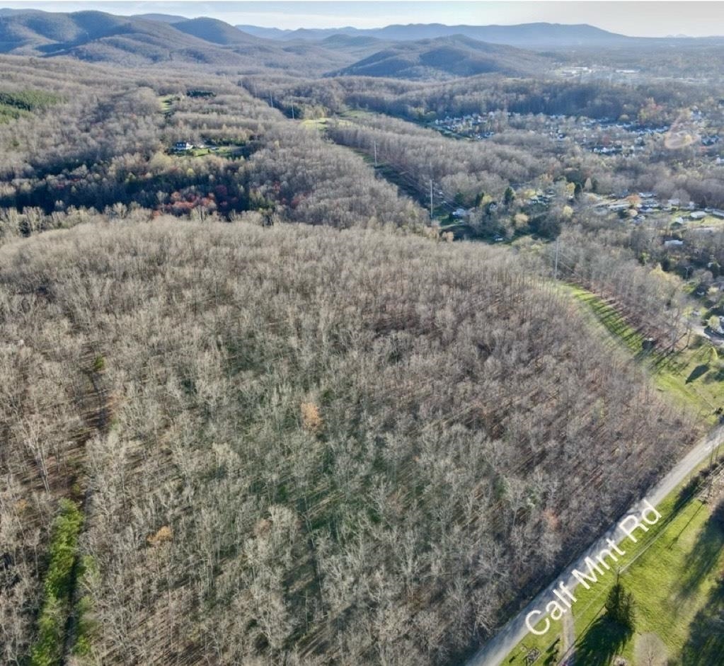 TBD CALF MOUNTAIN RD exterior