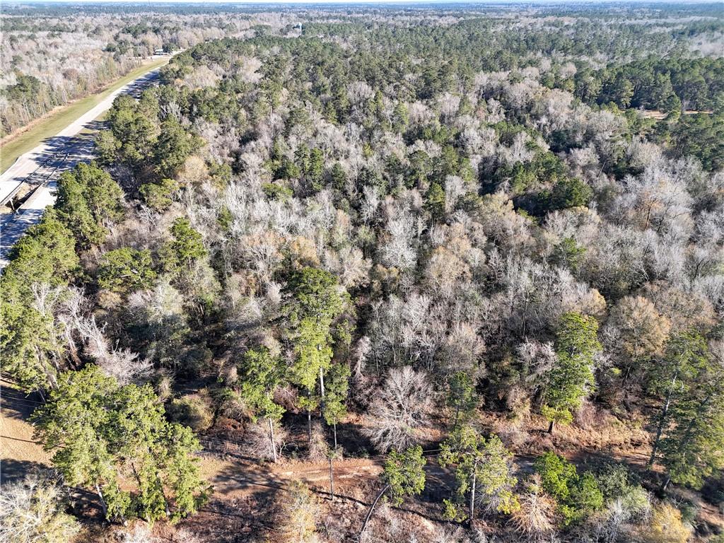 Homes for sale in Bush, LA | Nhn Sms Rd, Bush, LA 70431 | MLS# 2496161