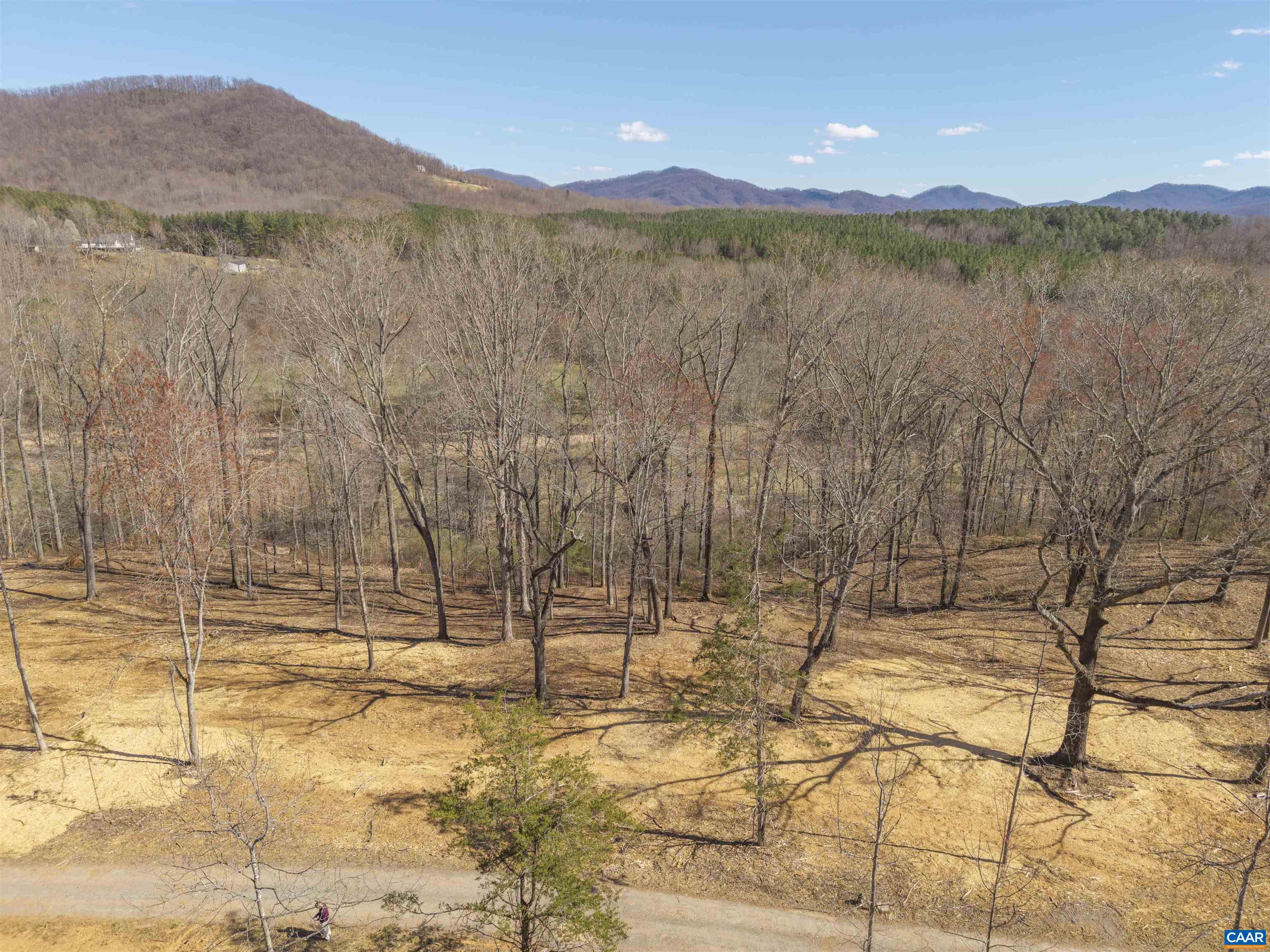 Lot 3 Rockfish Valley Hwy