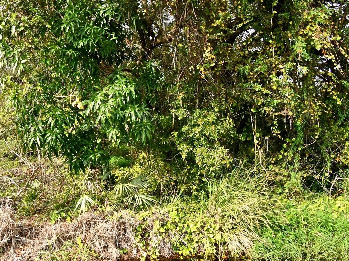 Homes for sale in Fort Pierce, FL | Tbd N 37th Street, Fort Pierce, FL 34947 | MLS# R11082816