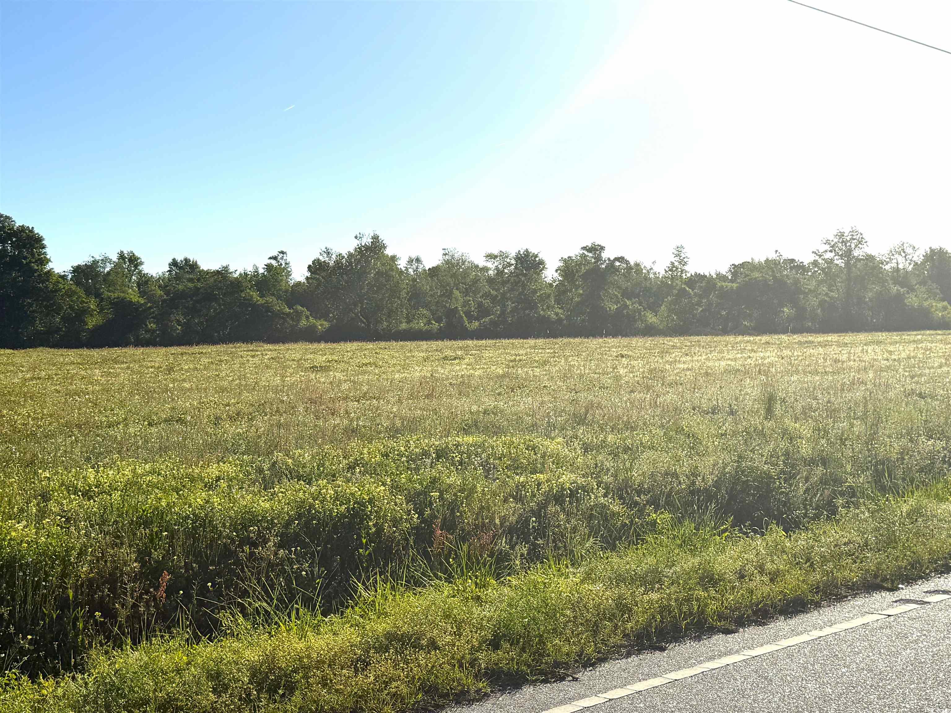 2509892 | Photo 3