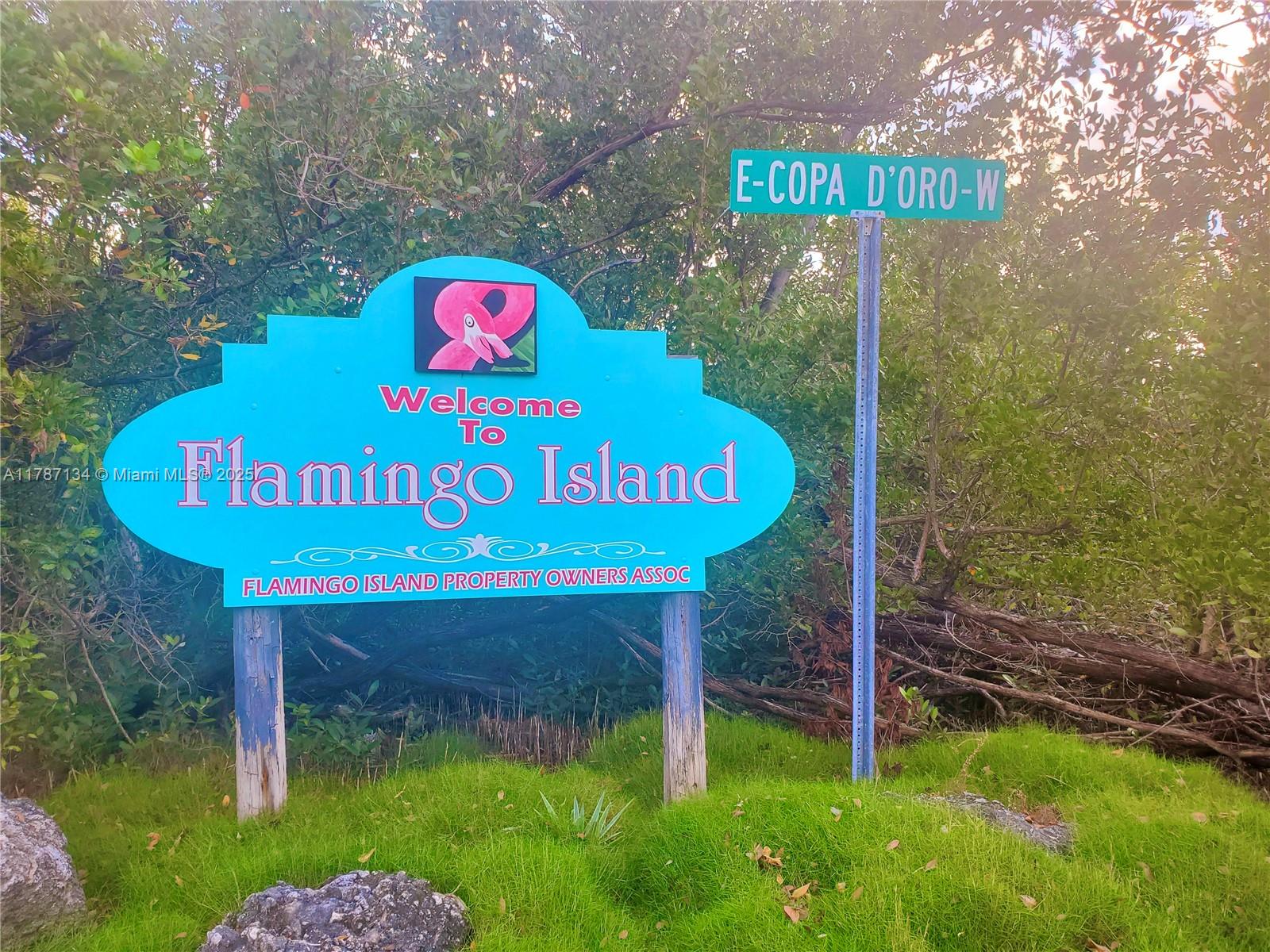 Flamingo Island Est Amd P