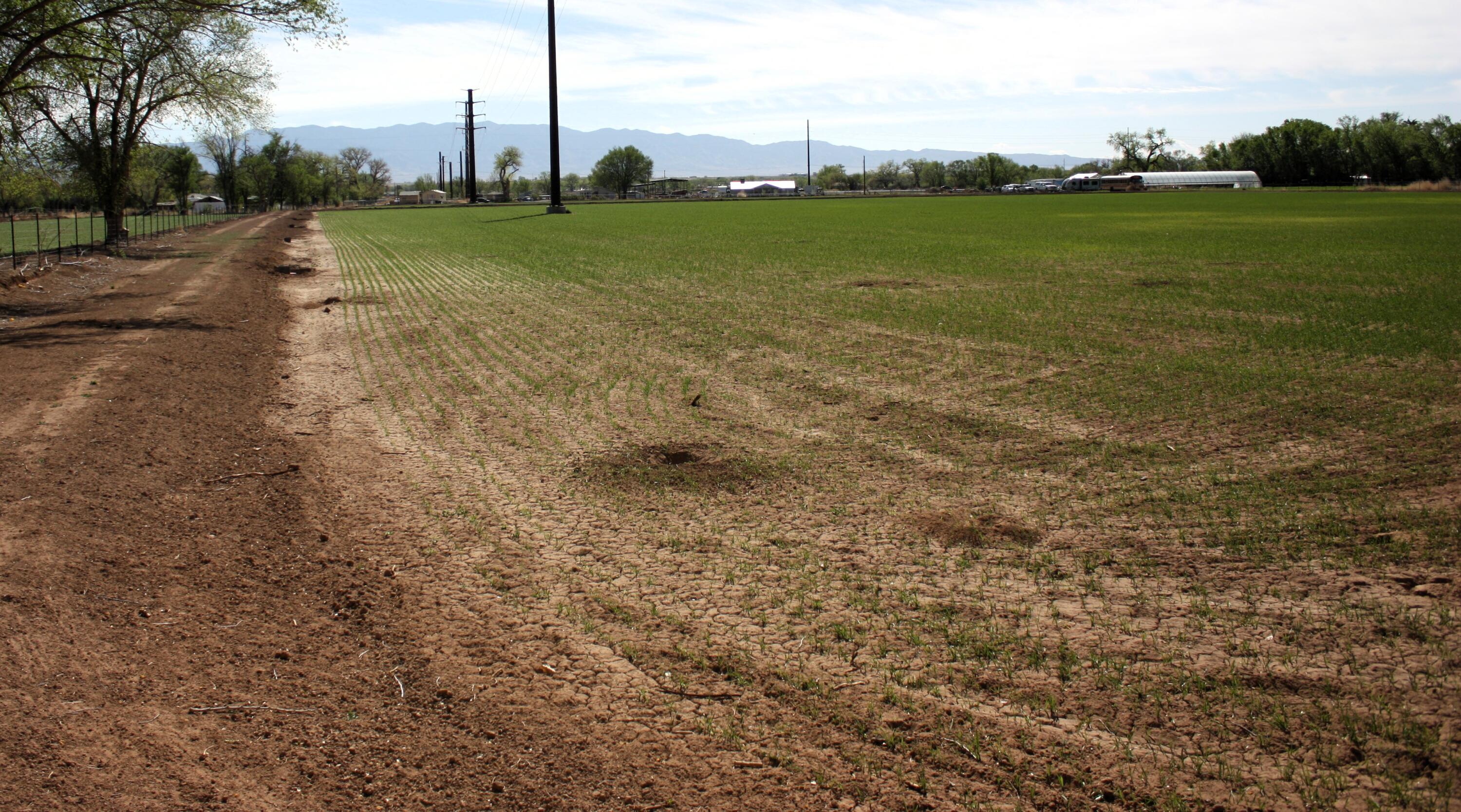 10th image of 33 Pueblitos Rd, Belen, NM 87002 | MLS# 1082463