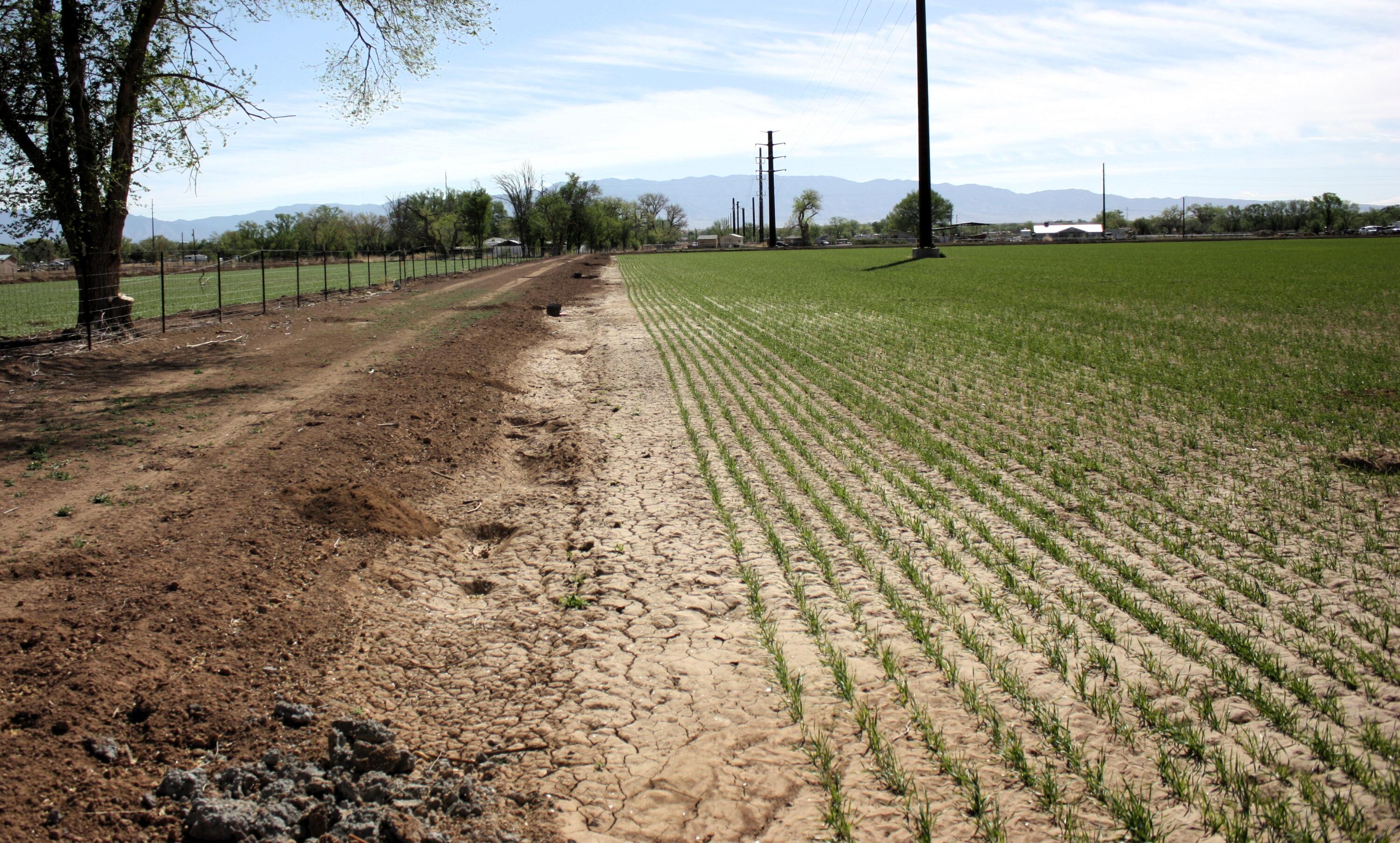 5th image of 33 Pueblitos Rd, Belen, NM 87002 | MLS# 1082463
