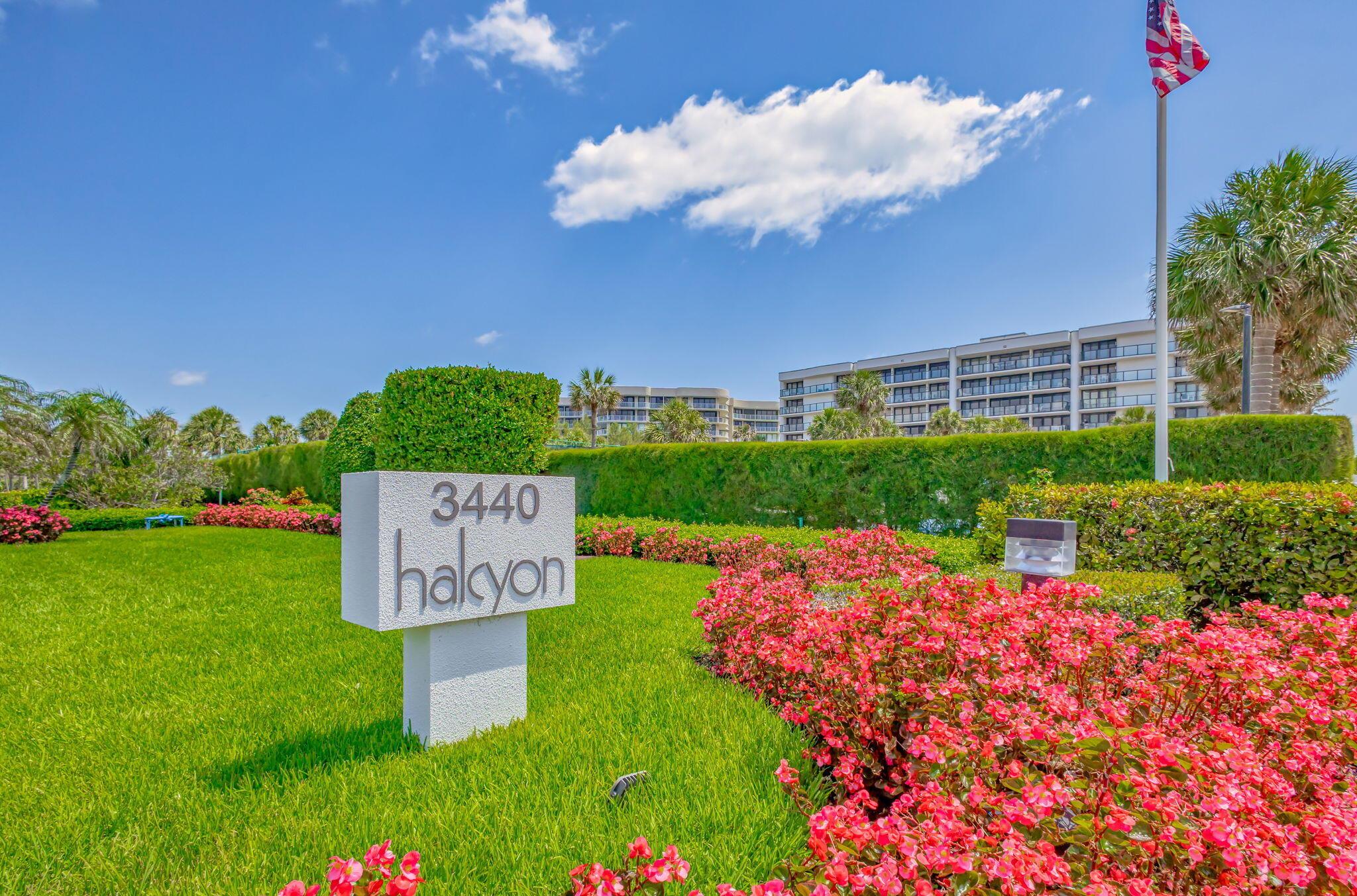 Halcyon Of Palm Beach