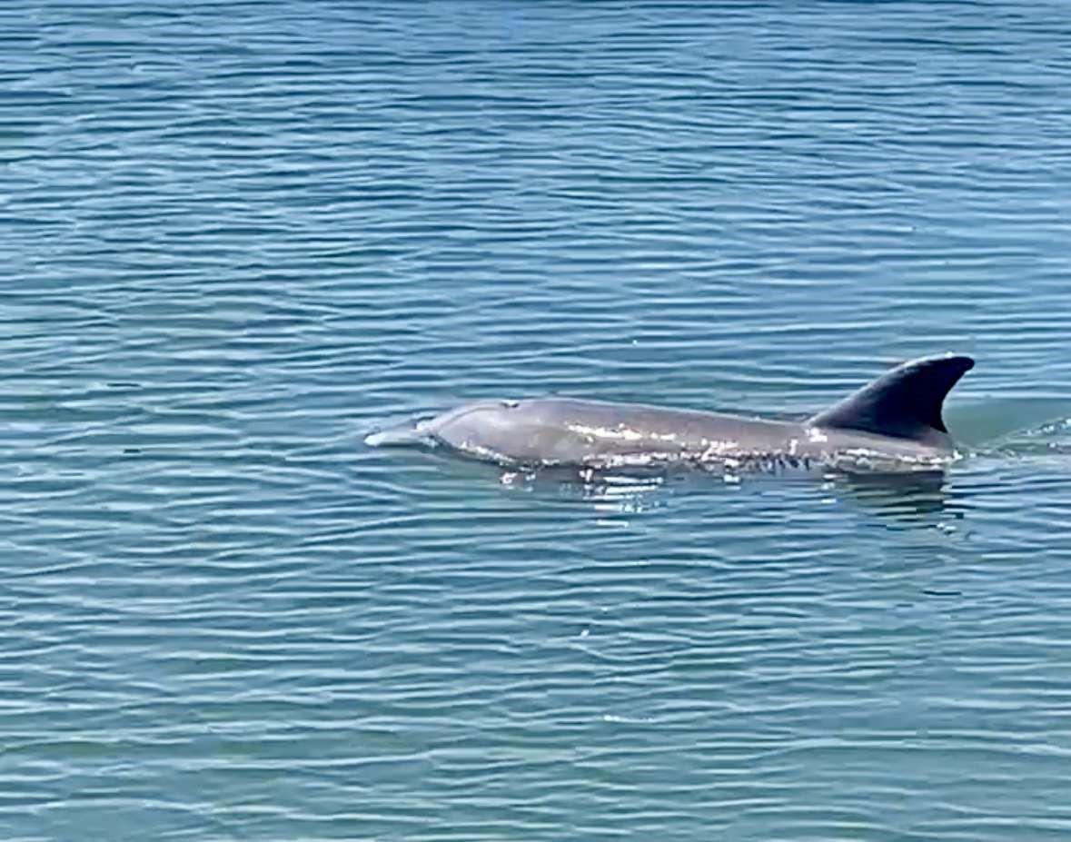 Homes for sale in Vero Beach, FL | 200 Greytwig Rd #213, Vero Beach, FL 32963 | MLS# F10499418