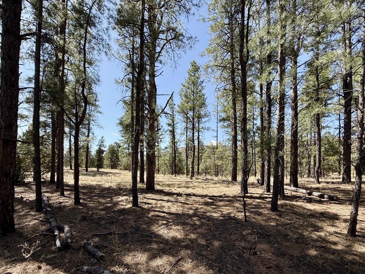 Homes for sale in Ramah, NM | Lot 24 Timberlake Rd, Ramah, NM 87321 | MLS# 1082502