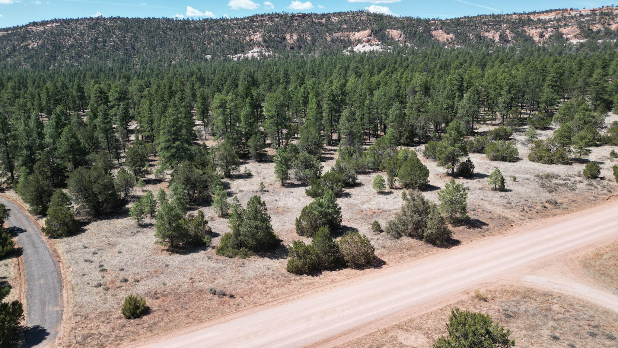 Homes for sale in Ramah, NM | Lot 24 Timberlake Rd, Ramah, NM 87321 | MLS# 1082502