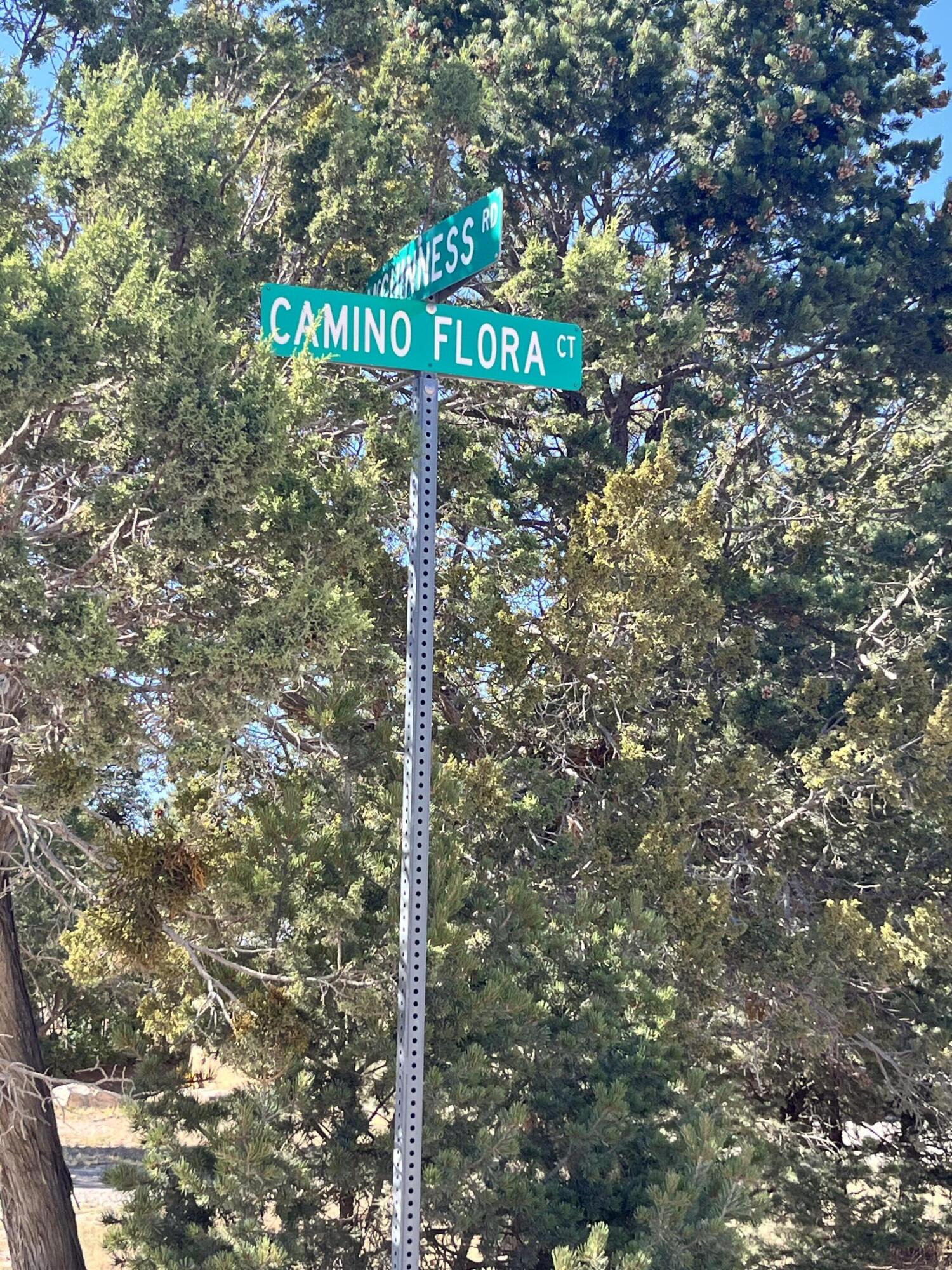 Homes for sale in Tijeras, NM | 9 Camino Flora, Tijeras, NM 87059 | MLS# 1082514