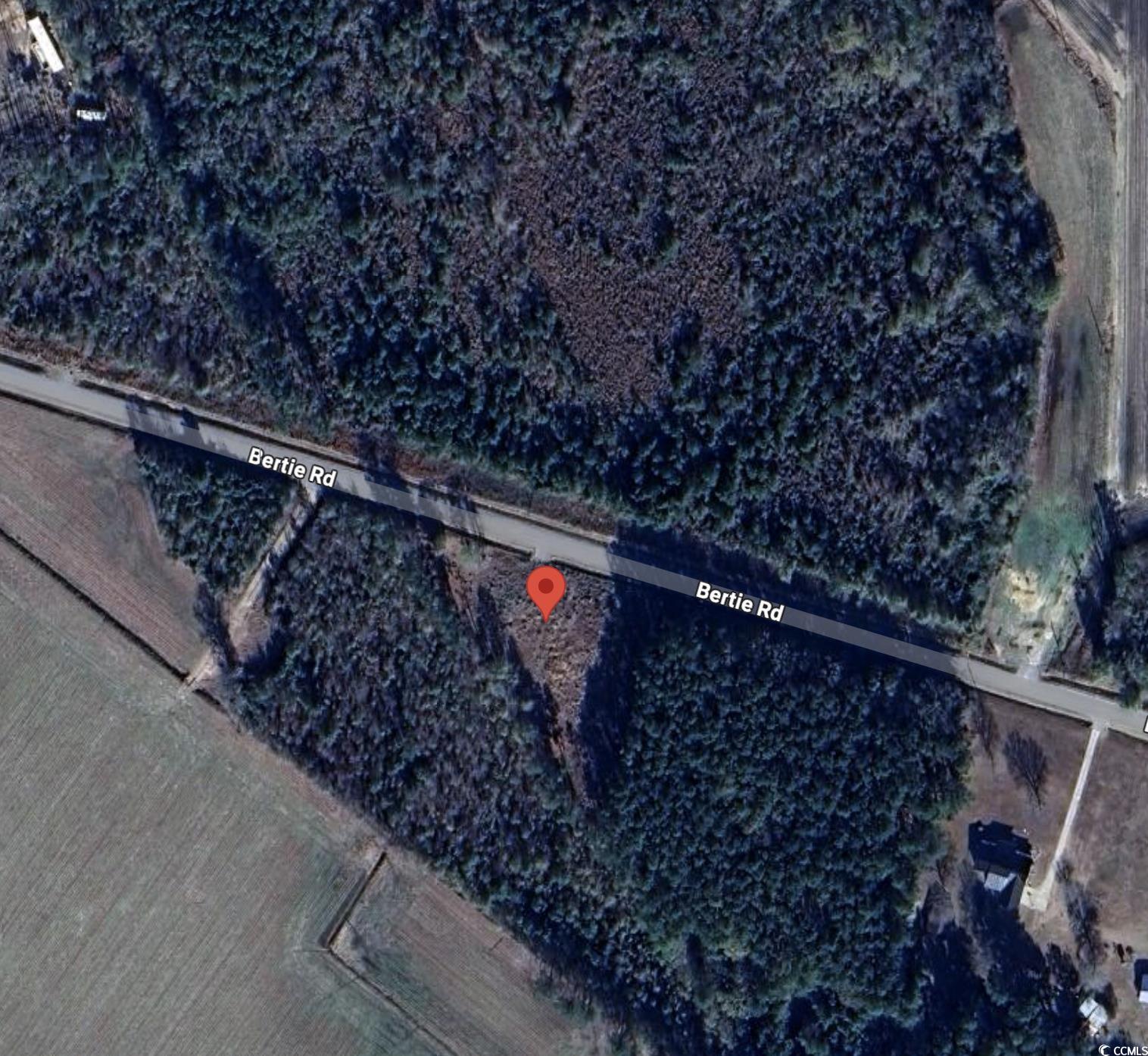 TBD Bertie Rd. Green Sea, SC 29545