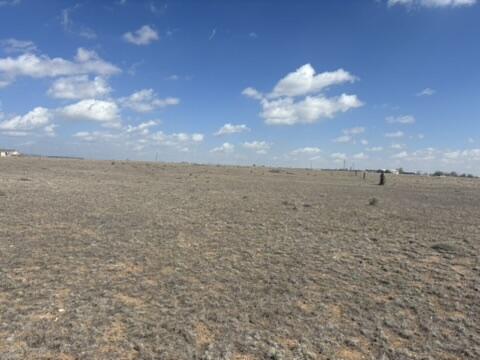 Homes for sale in Estancia, NM | Antelope Sprngs Lot 35, 61, 62 Dr, Estancia, NM 87016 | MLS# 1082550