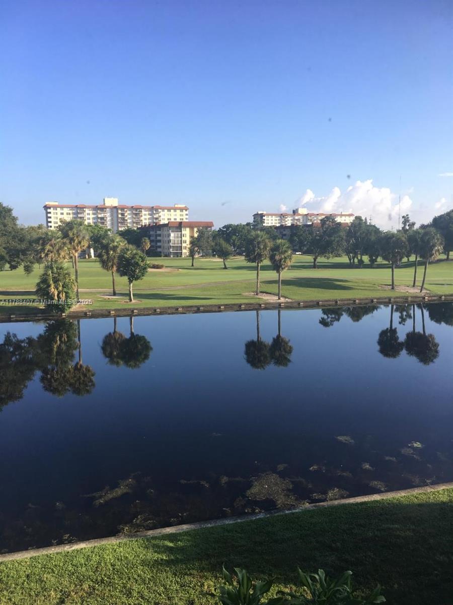 International Village At