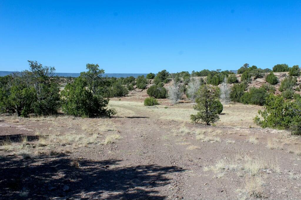 Homes for sale in San Jose, NM | Tbd Frontage Road 2116, San Jose, NM 87560 | MLS# 1082692