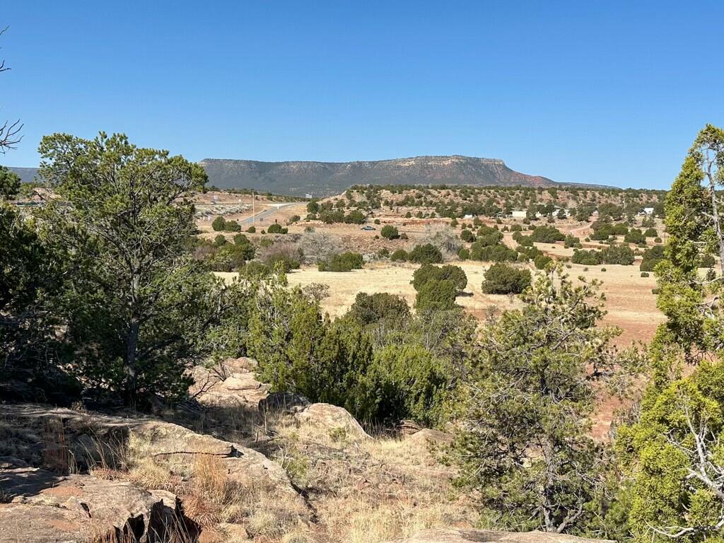 Homes for sale in San Jose, NM | Tbd Frontage Road 2116, San Jose, NM 87560 | MLS# 1082692