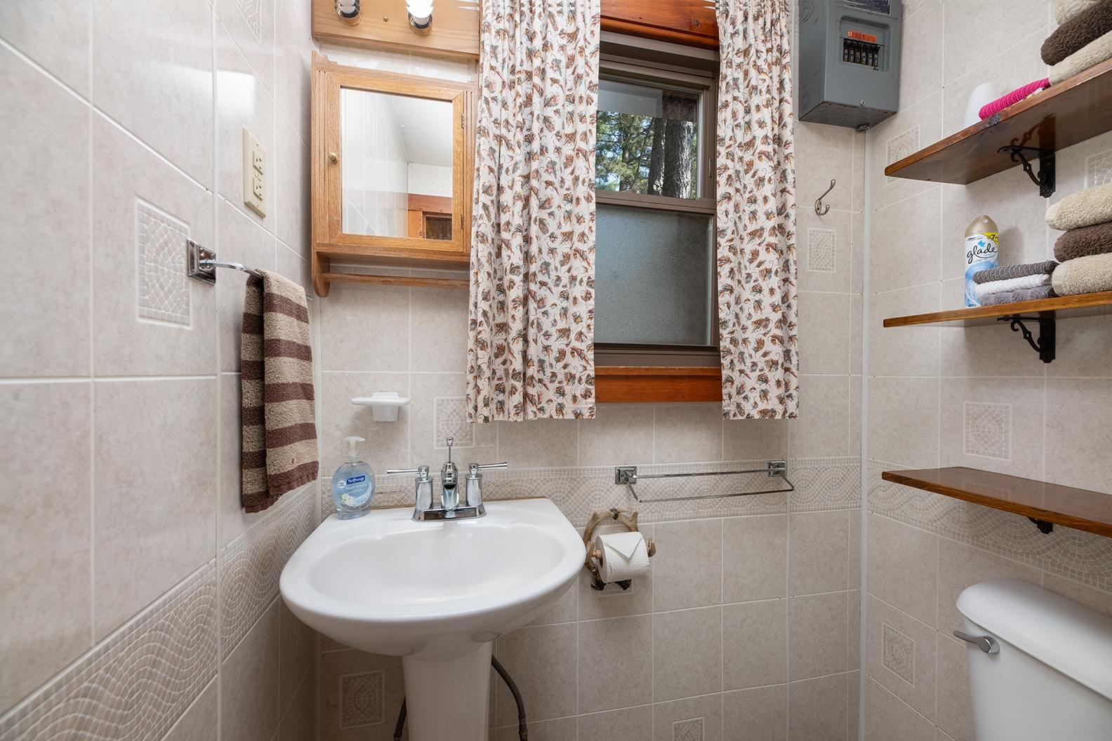 Big Arbor Vitae Property 10597 Pine Arbor Dr Photo 15