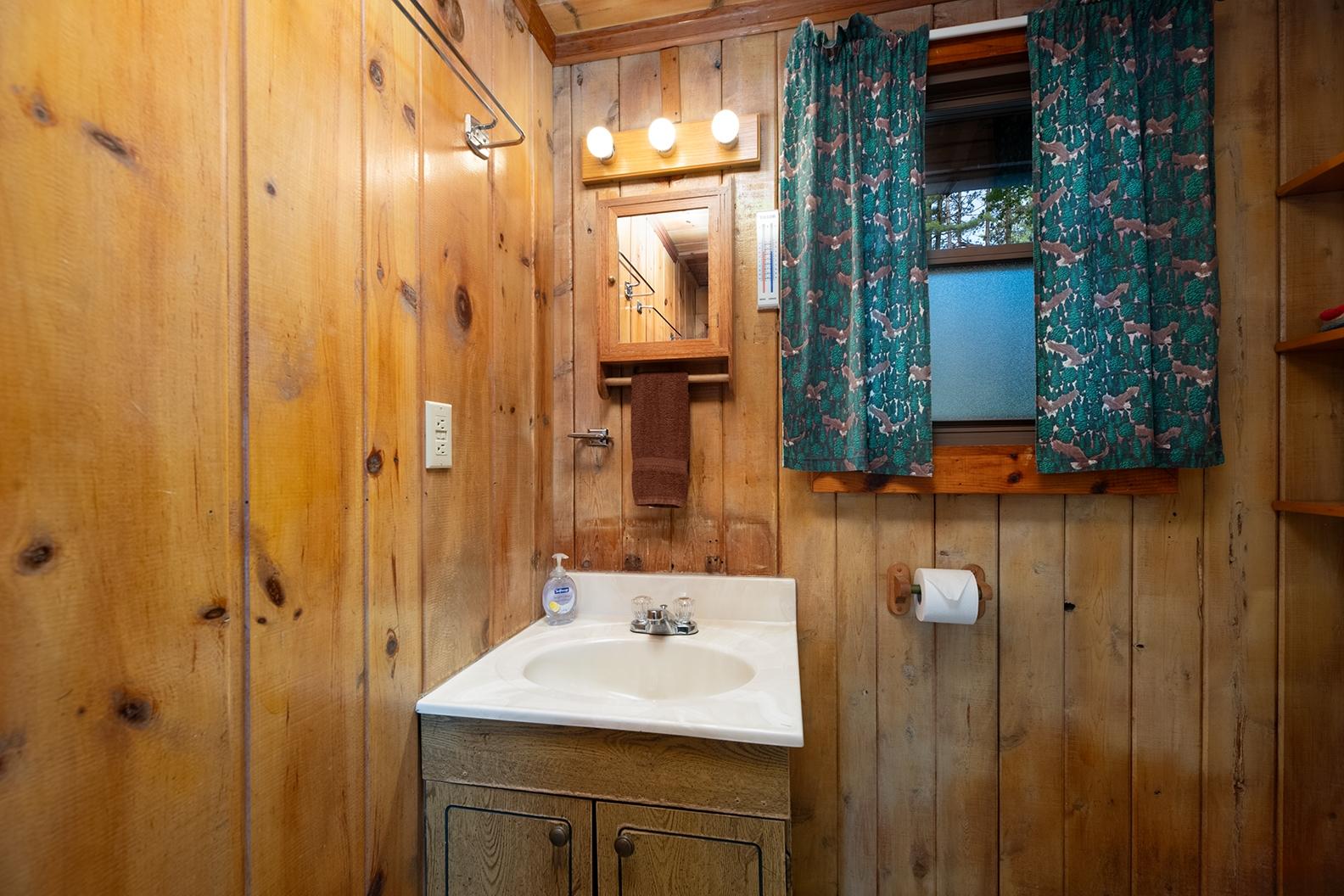 Big Arbor Vitae Property 10595 Pine Arbor Dr Photo 9