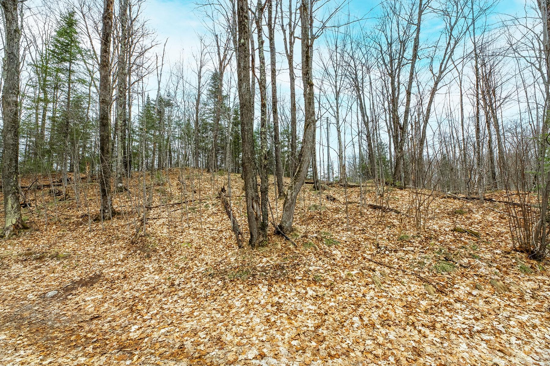 Oxbow Lake Property Off Hiawatha Dr Photo 13