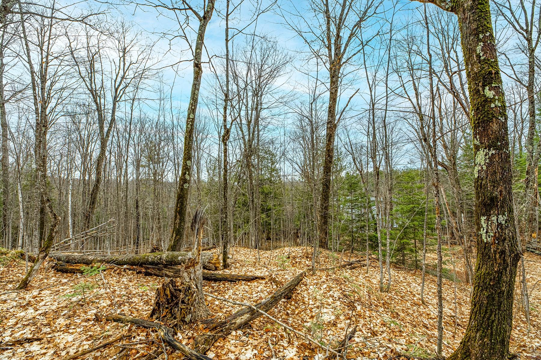Oxbow Lake Property Off Hiawatha Dr Photo 14
