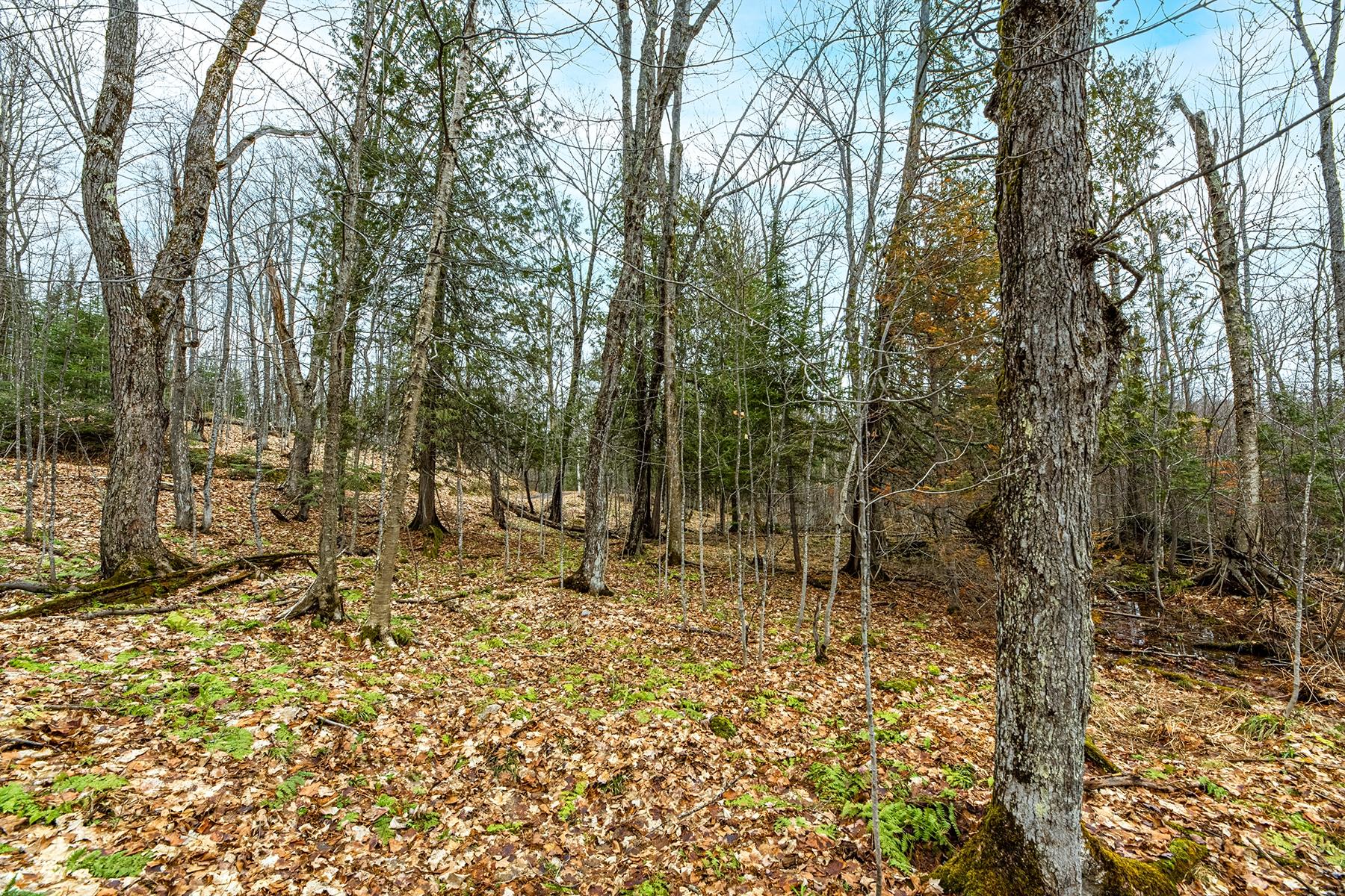 Oxbow Lake Property Off Hiawatha Dr Photo 17