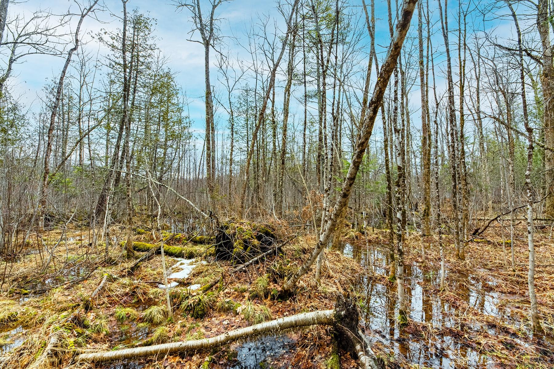 Oxbow Lake Property Off Hiawatha Dr Photo 19