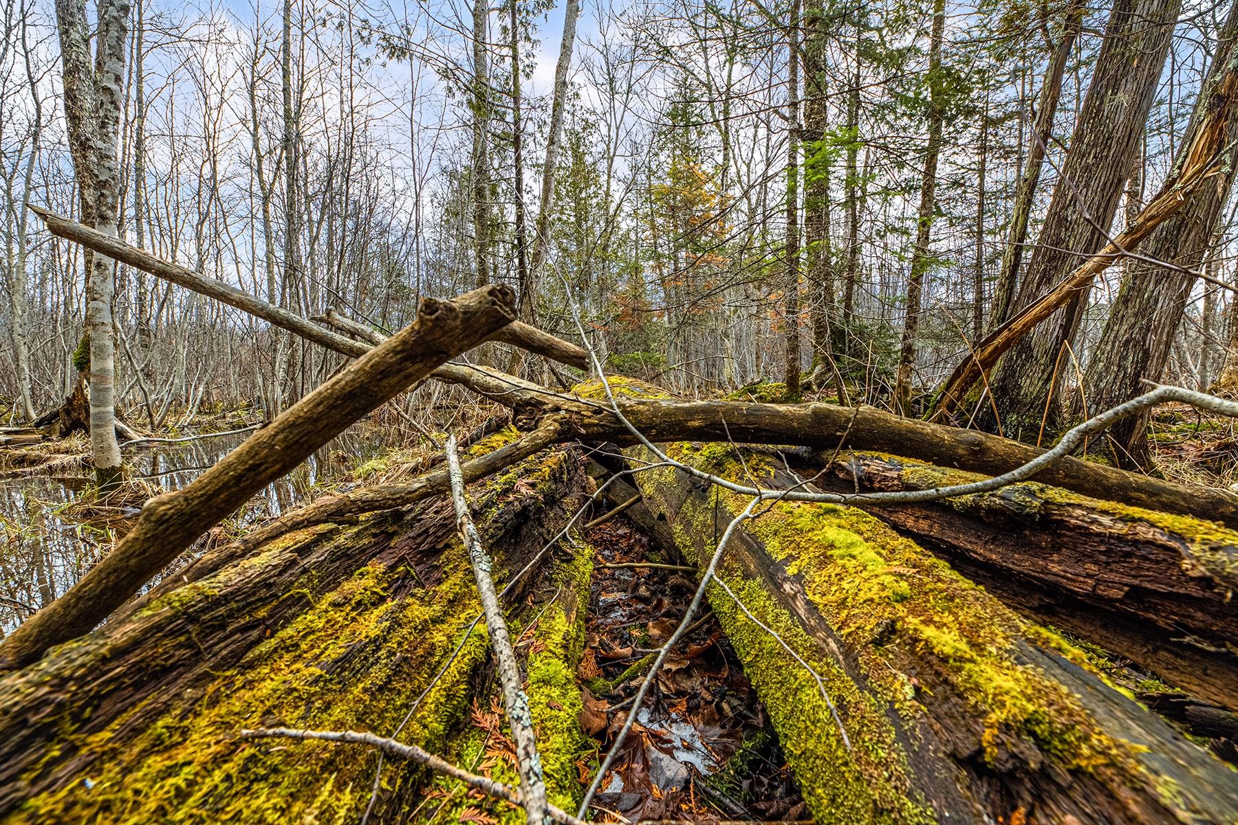 Oxbow Lake Property Off Hiawatha Dr Photo 20