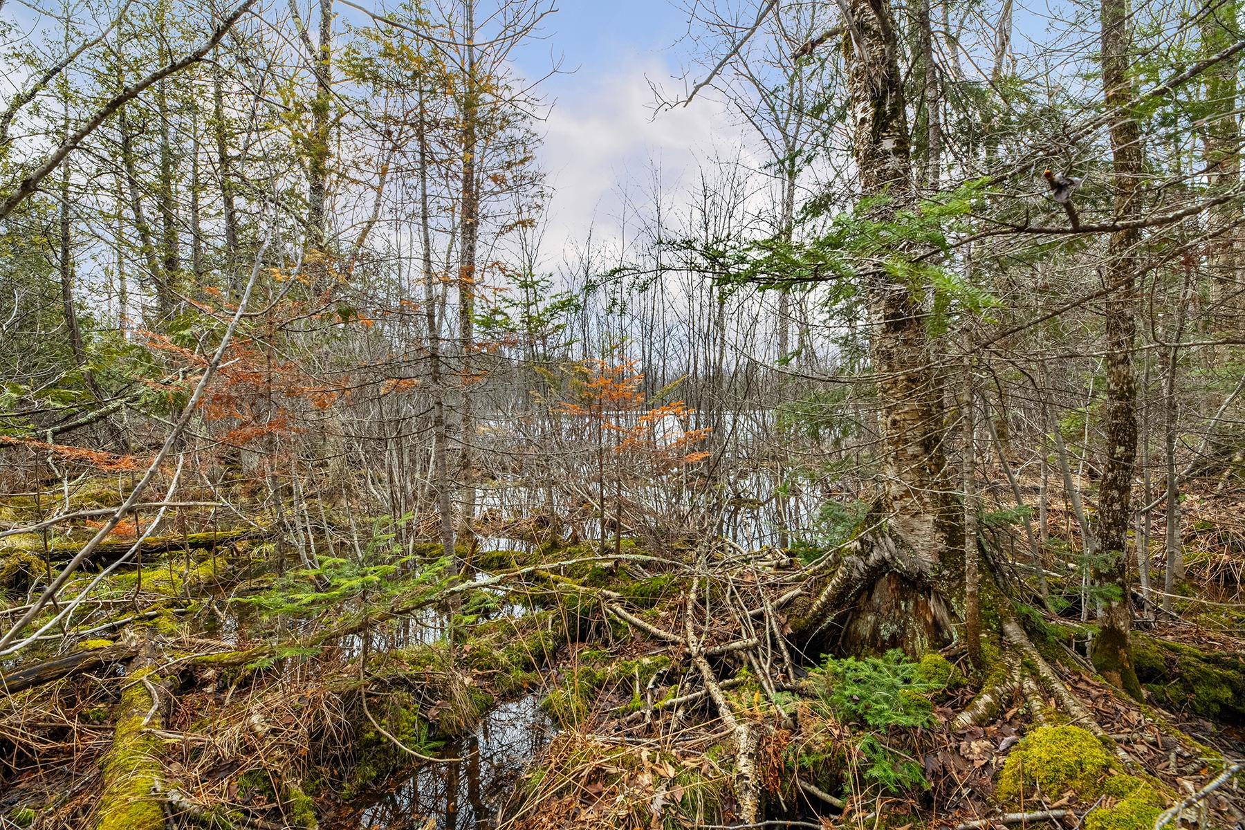 Oxbow Lake Property Off Hiawatha Dr Photo 21