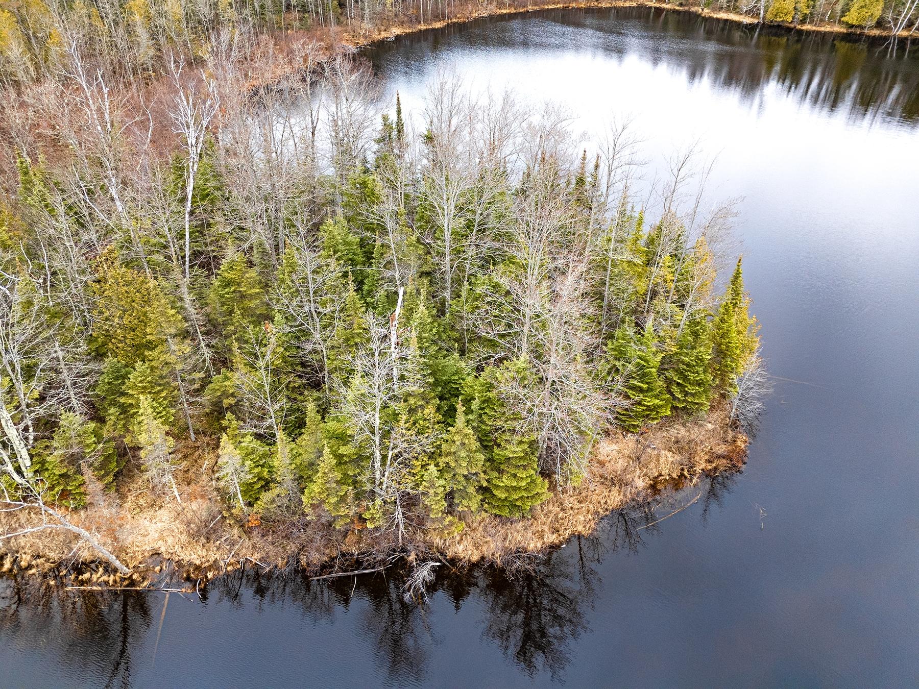 Oxbow Lake Property Off Hiawatha Dr Photo 4