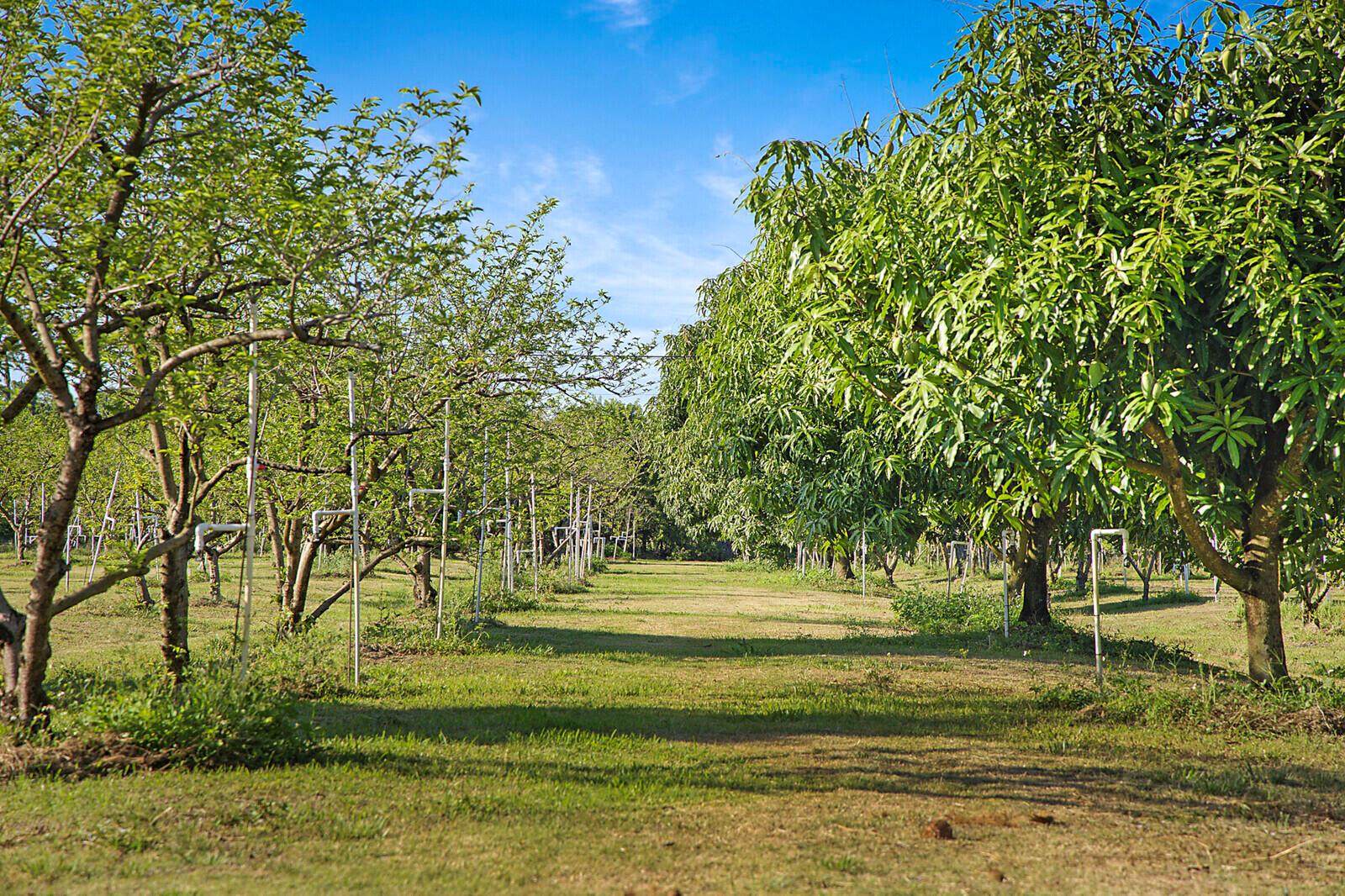 Homes for sale in Loxahatchee Groves, FL | 3057 D Road, Loxahatchee Groves, FL 33470 | MLS# R11084753