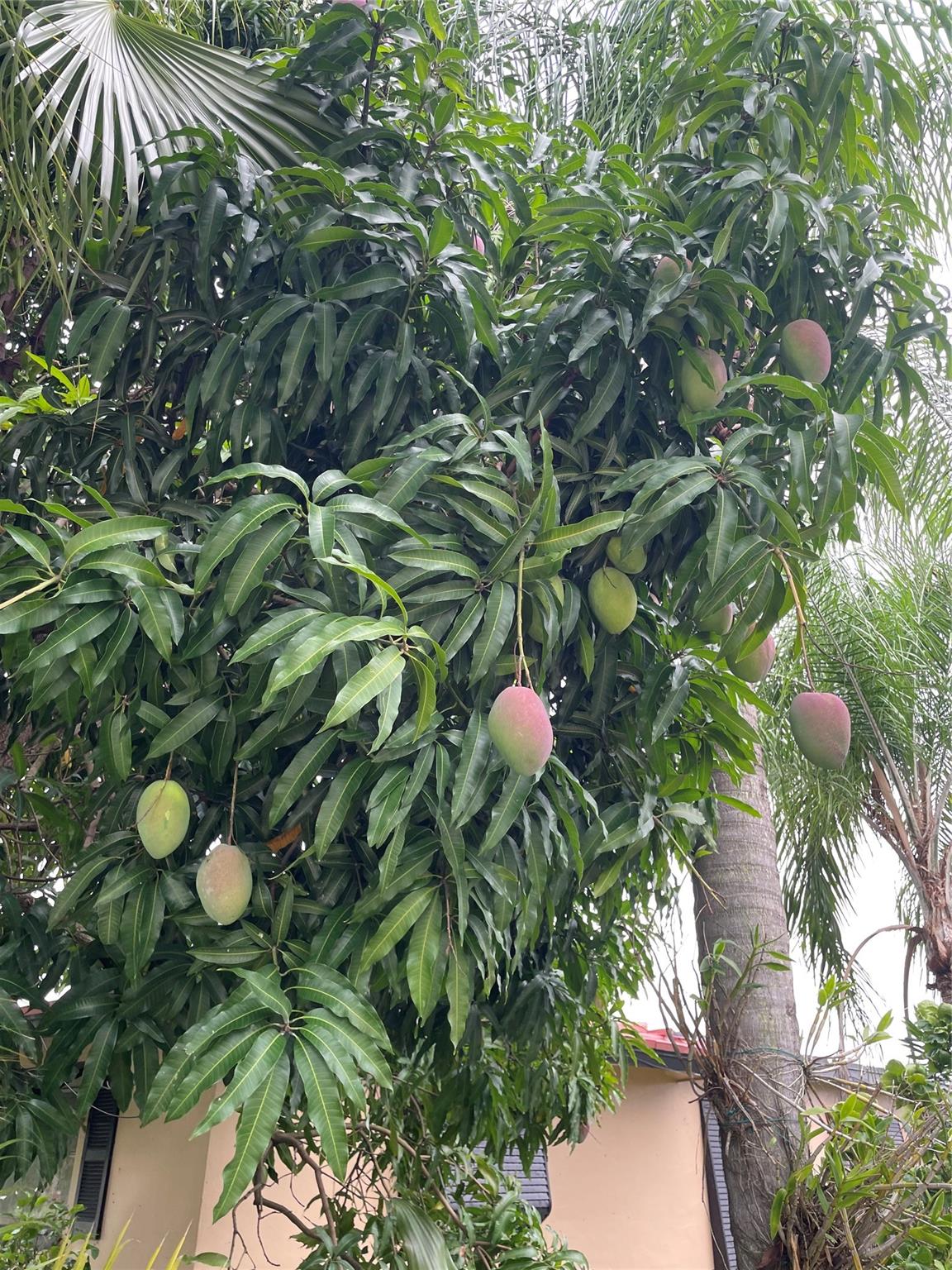 Homes for sale in Tamarac, FL | 4401 Nw 43 Avenue, Tamarac, FL 33319 | MLS# F10500279