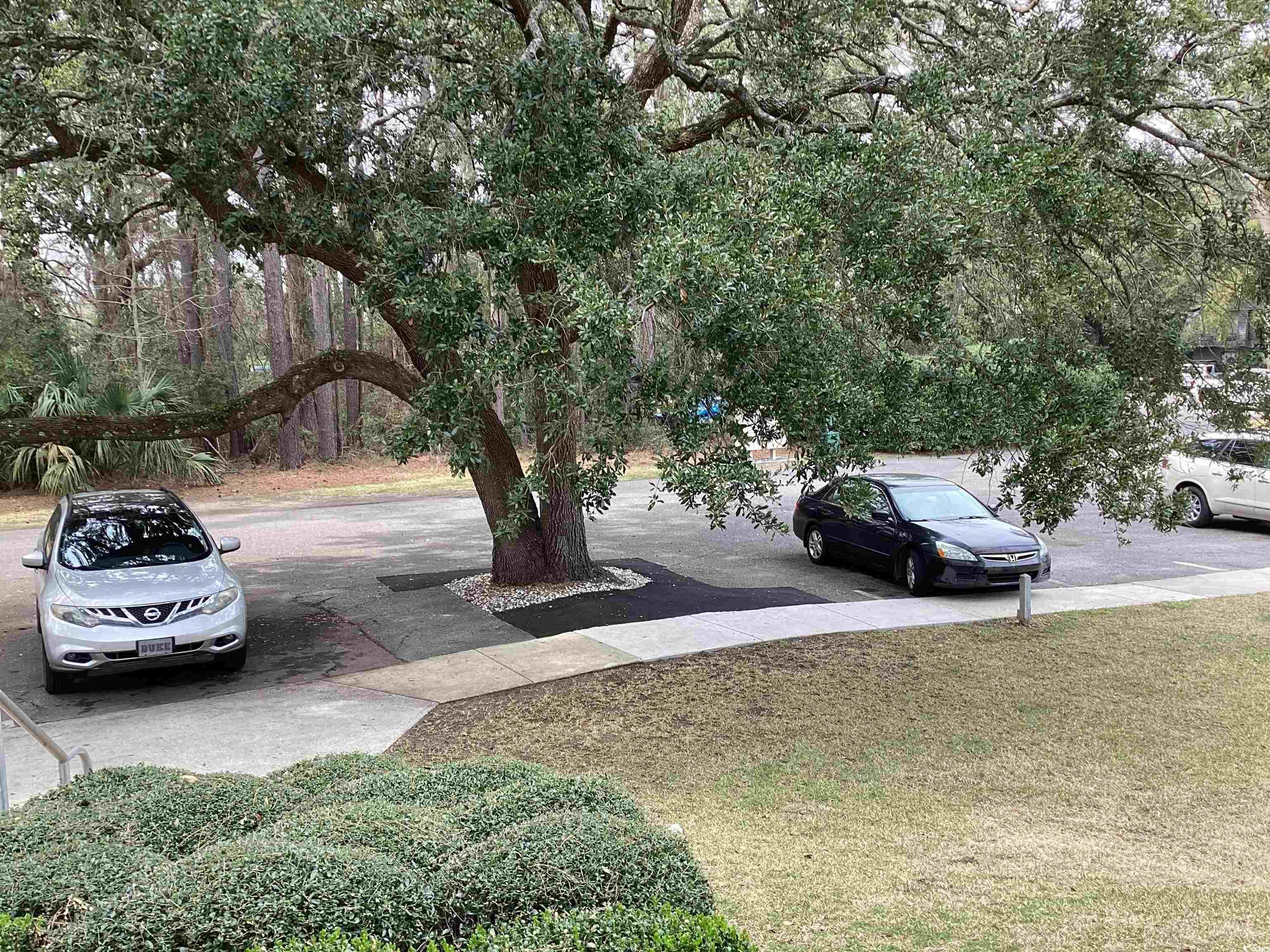 409 Salt Marsh Circle 