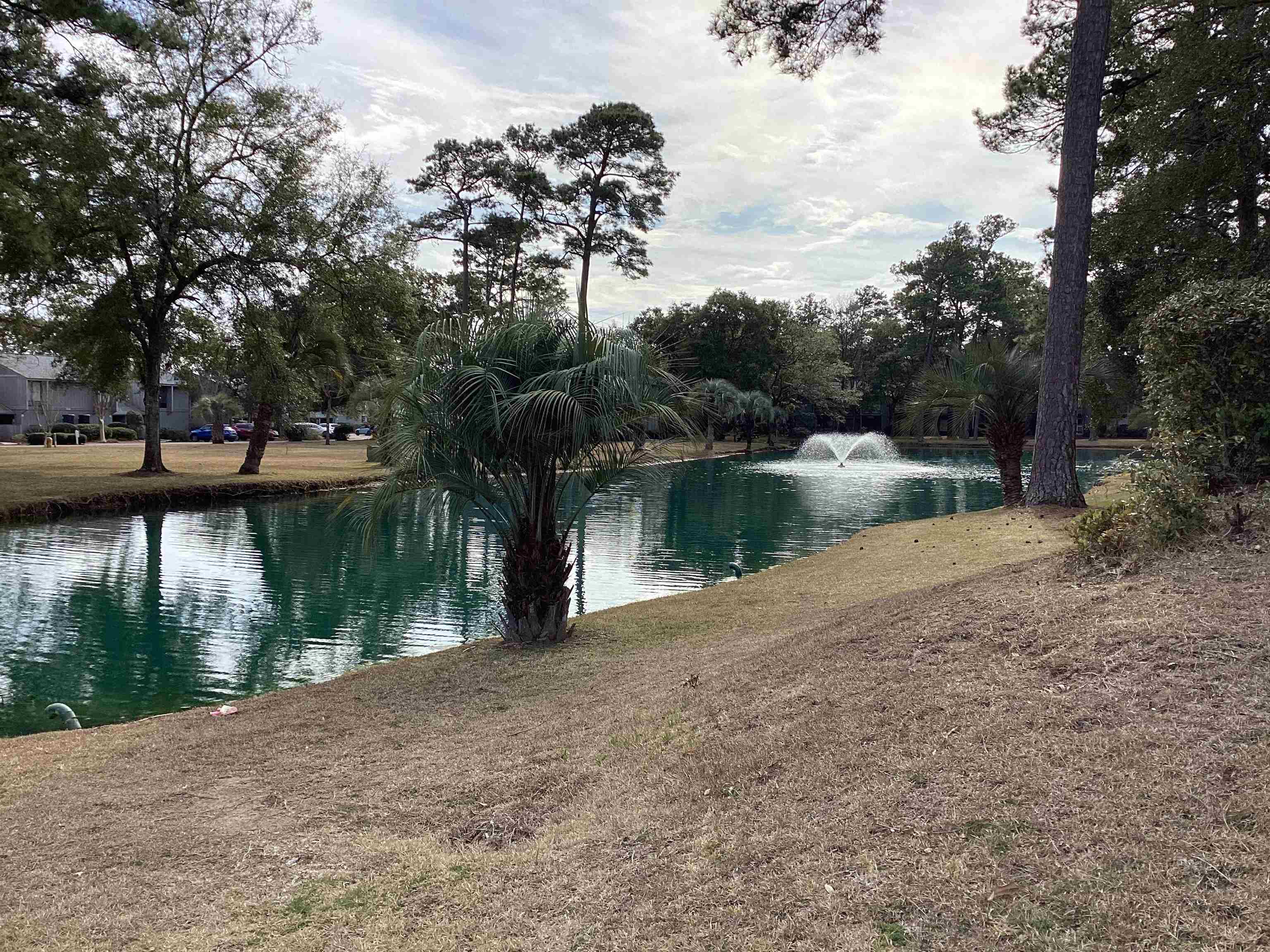 409 Salt Marsh Circle 