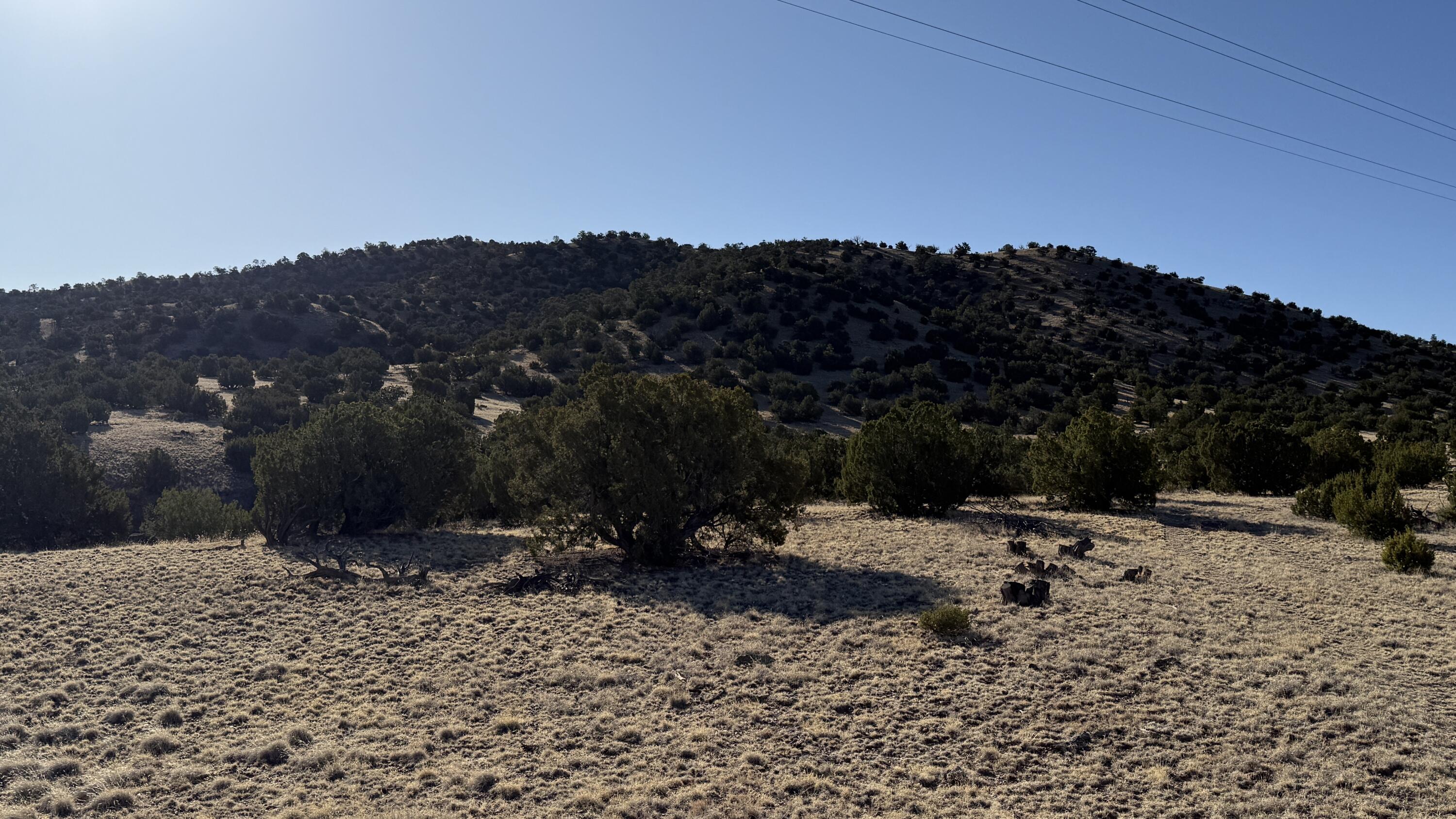 Homes for sale in Magdalena, NM | Lot 21 Pinon Springs Ranch, Magdalena, NM 87825 | MLS# 1082866