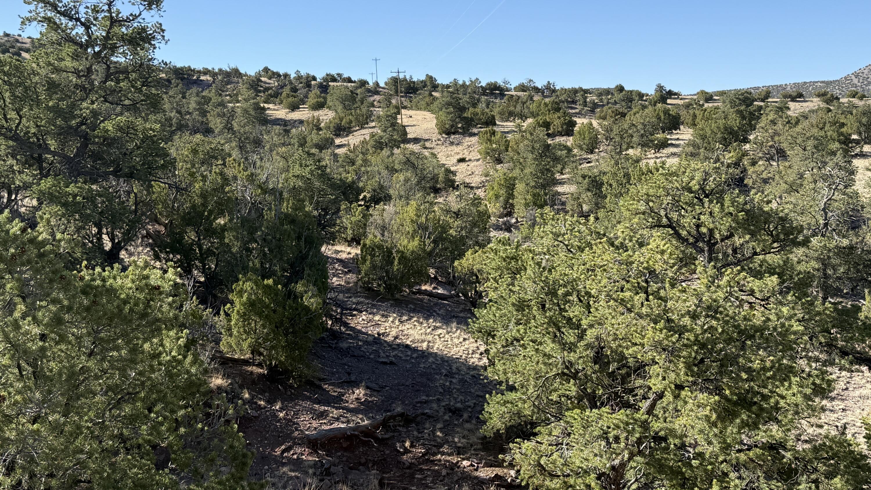 Homes for sale in Magdalena, NM | Lot 21 Pinon Springs Ranch, Magdalena, NM 87825 | MLS# 1082866