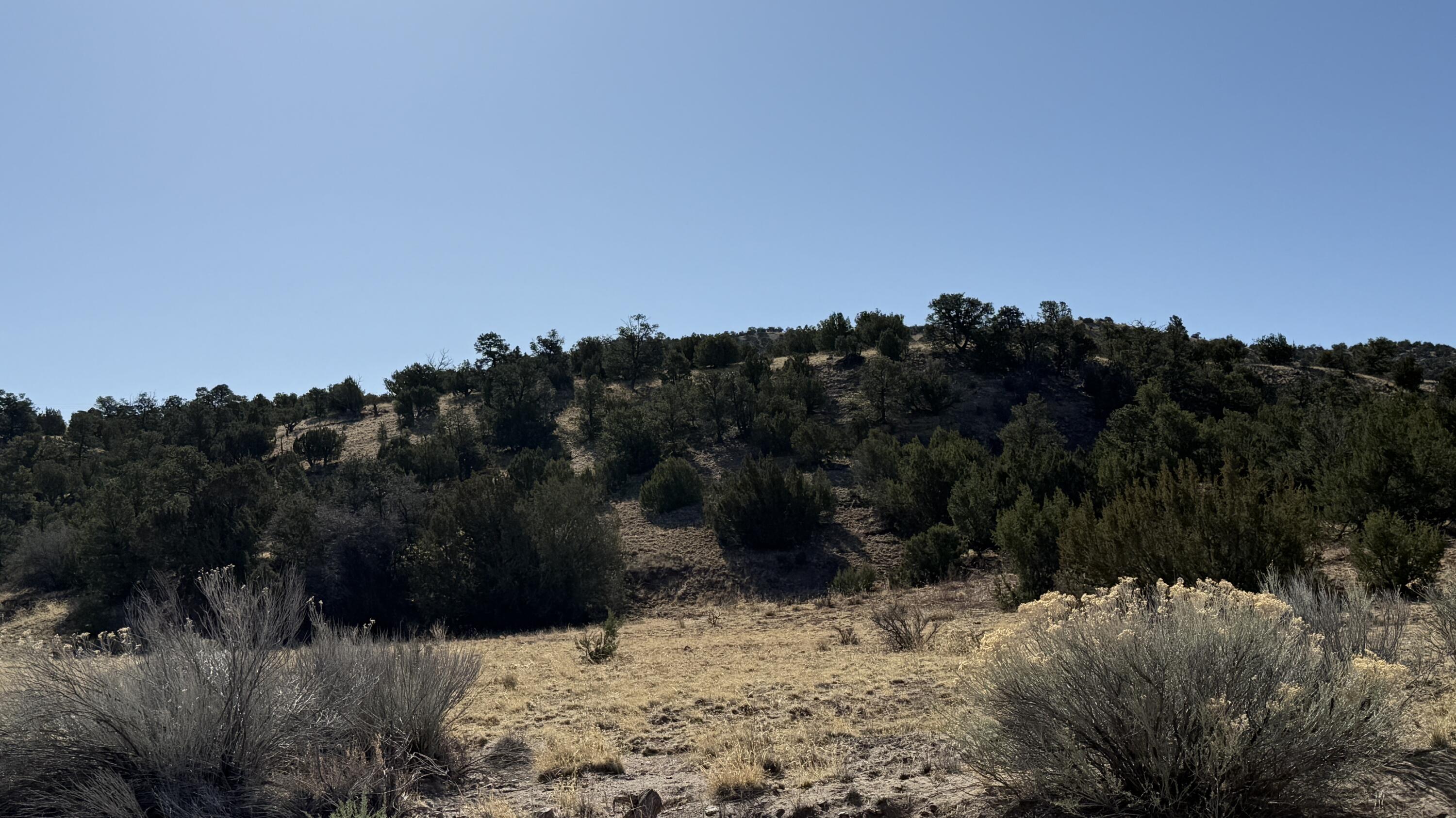 Homes for sale in Magdalena, NM | Lot 21 Pinon Springs Ranch, Magdalena, NM 87825 | MLS# 1082866
