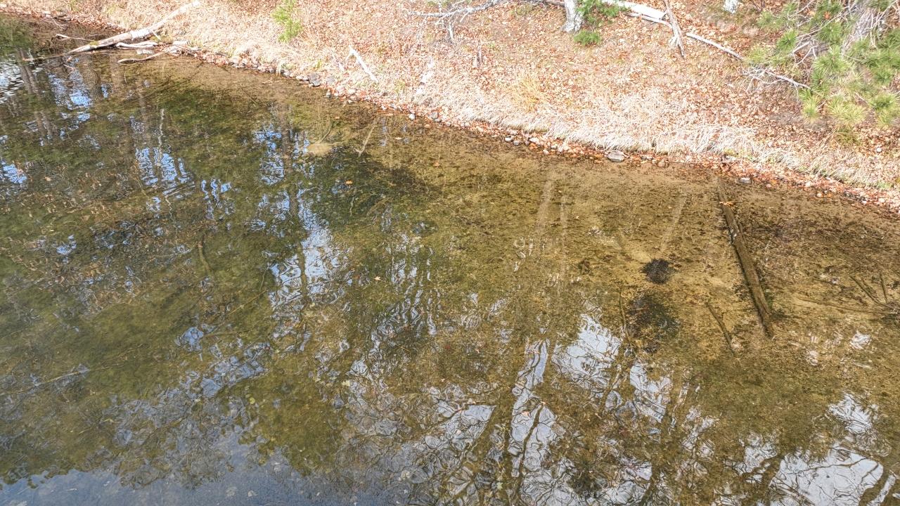 Little St. Germain Property Lot 1 Snooks Ln Photo 11